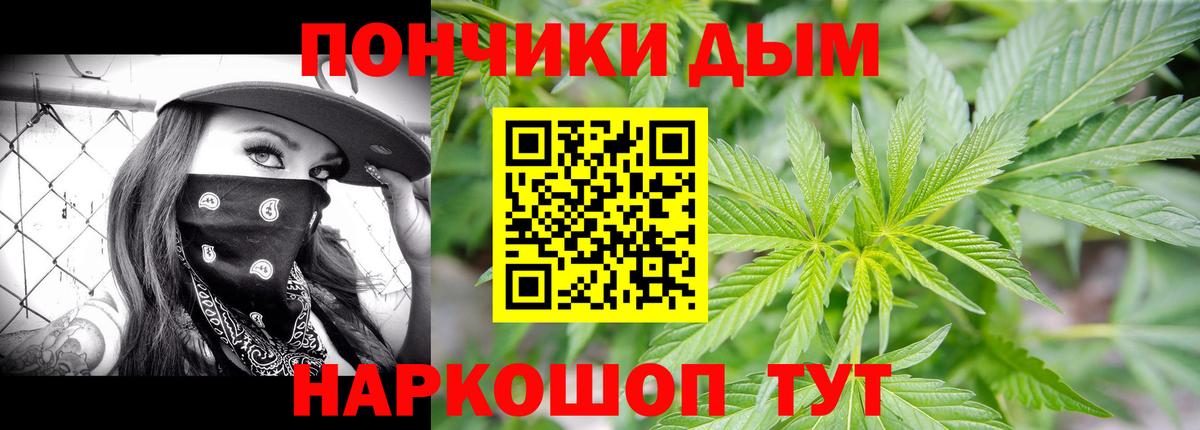 Шишки марихуана план  Вход с VPN  Каннабис индика  Сальск  Бошки Шишки LSD WEED 