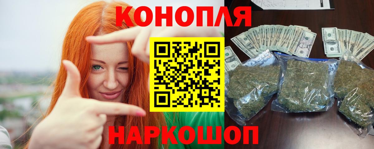 Каннабис семена Сальск